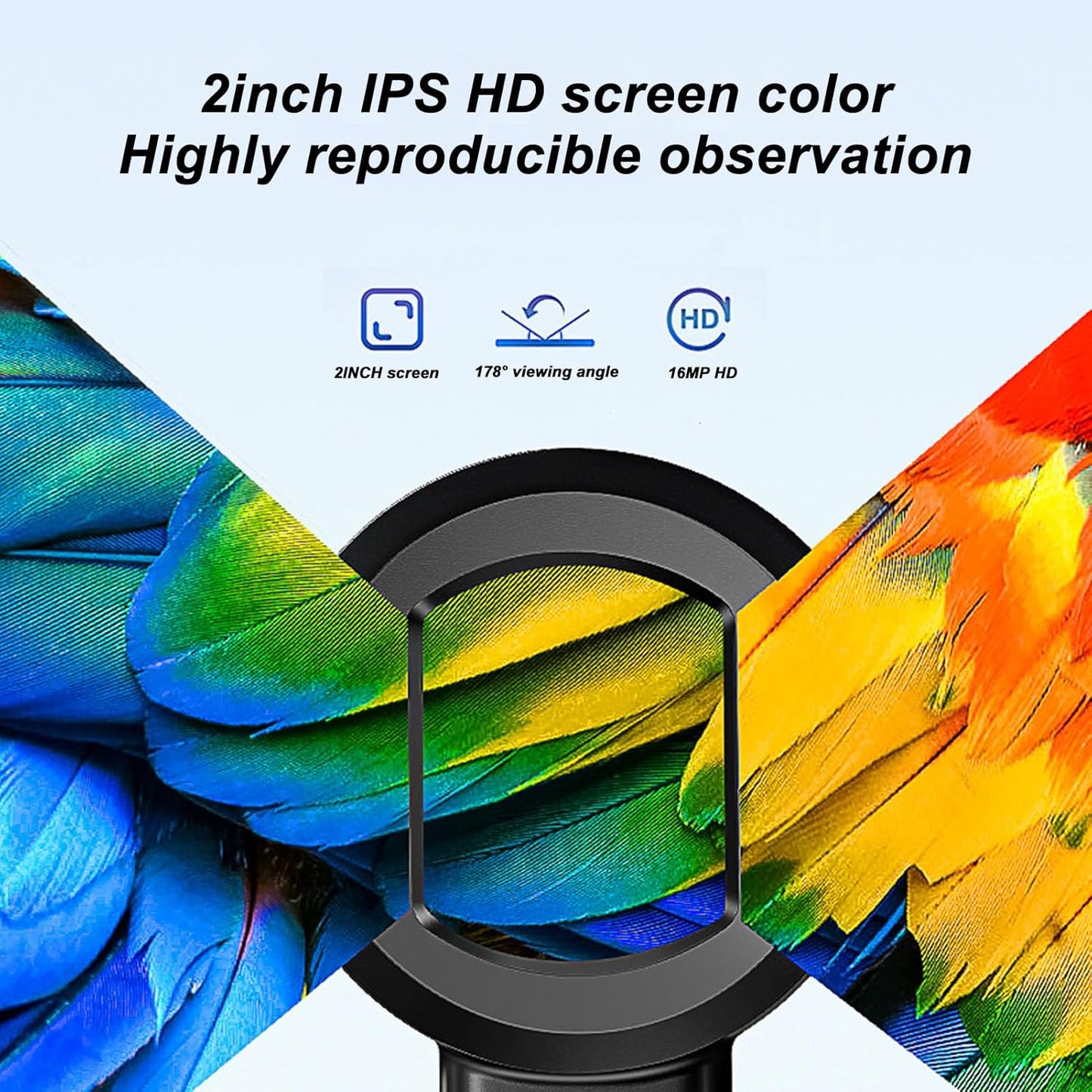Electronic High-Definition Magnifying Glass