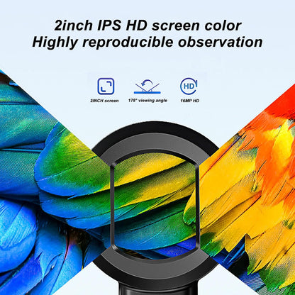 Electronic High-Definition Magnifying Glass