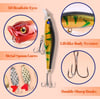 Fish Bait 24 Day Calendar™